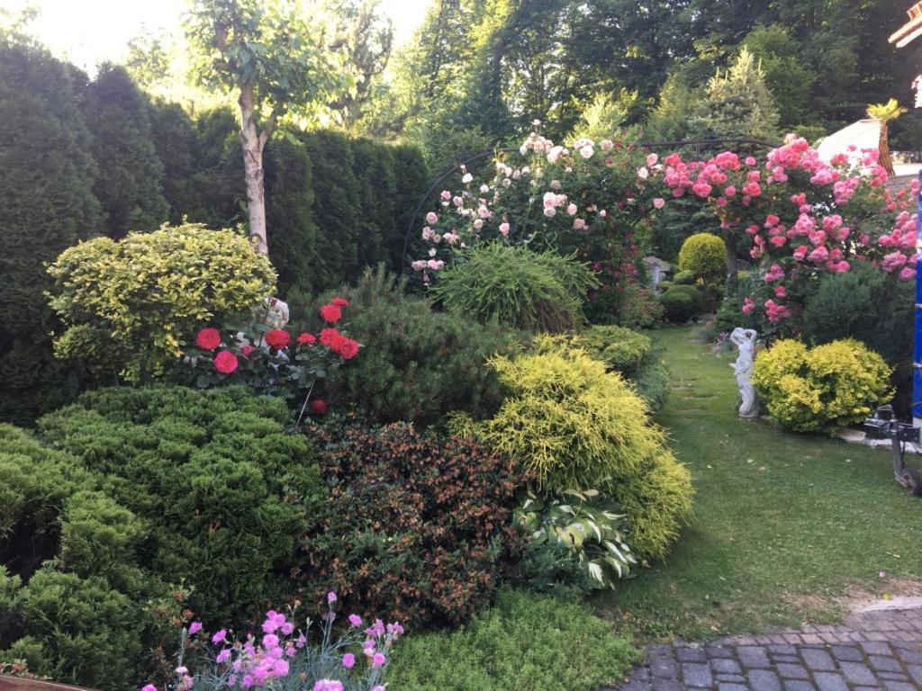 Domek I Apartamenty Zacisze Brenna Bagian luar foto
